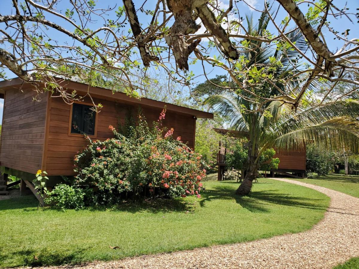 Yumas Riverfront Lodge San Ignacio Luaran gambar