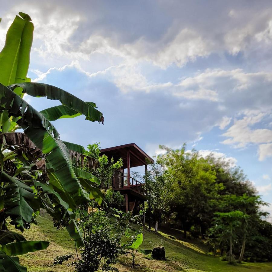 Yumas Riverfront Lodge San Ignacio Luaran gambar