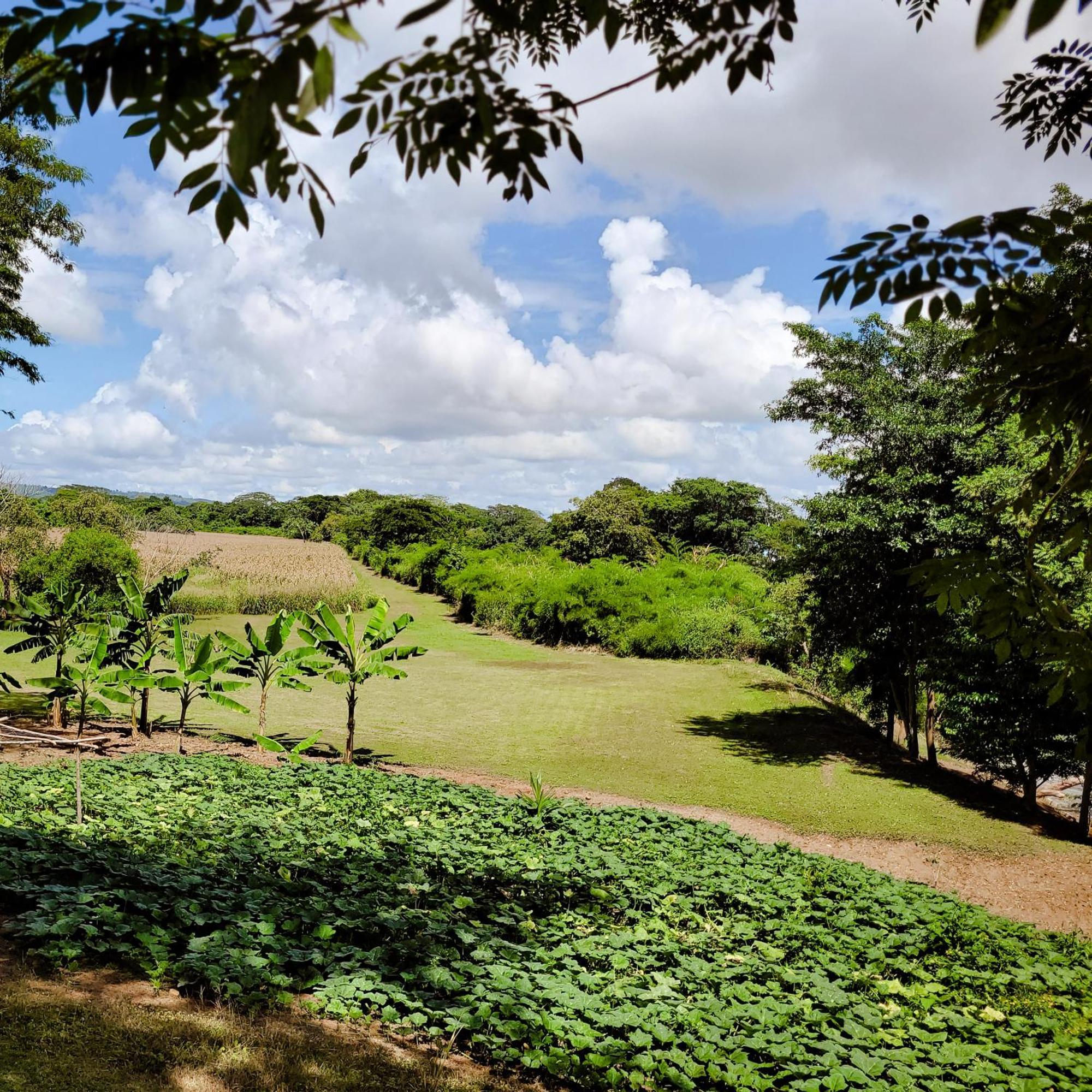 Yumas Riverfront Lodge San Ignacio Luaran gambar