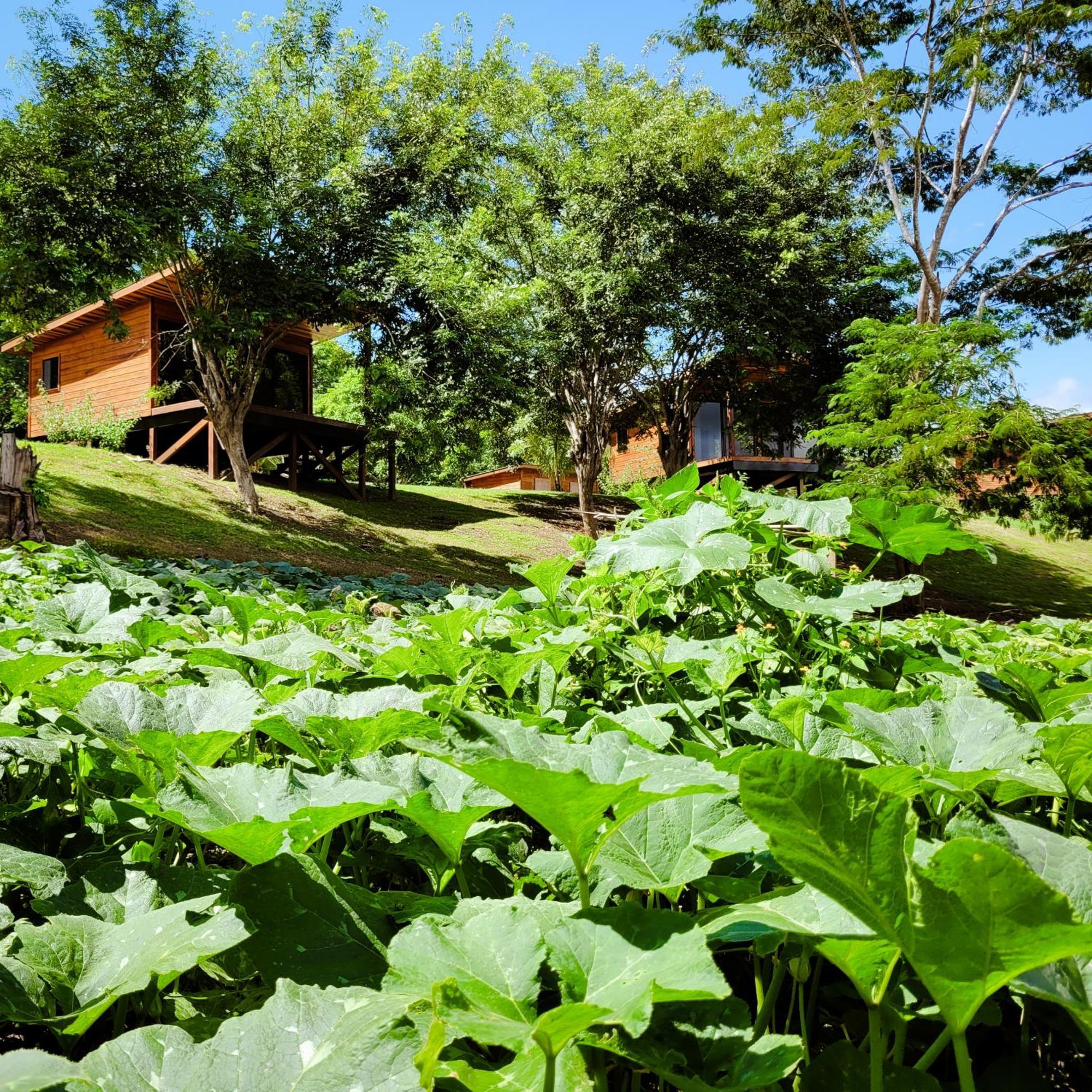 Yumas Riverfront Lodge San Ignacio Luaran gambar