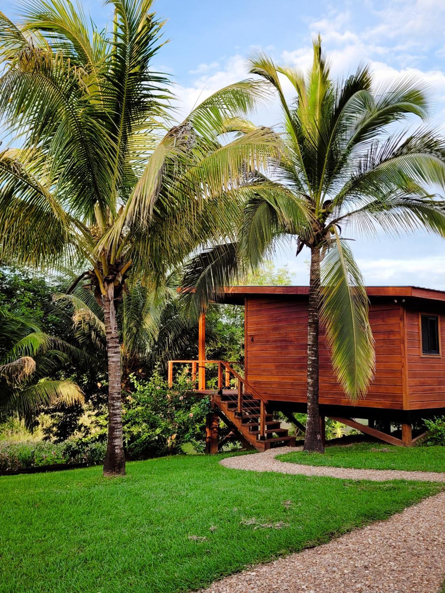 Yumas Riverfront Lodge San Ignacio Luaran gambar
