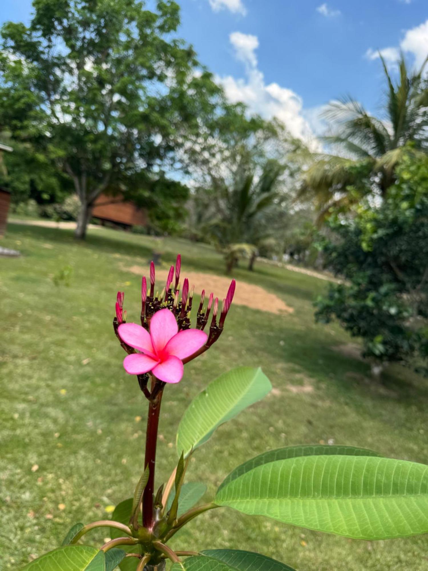 Yumas Riverfront Lodge San Ignacio Luaran gambar